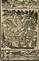 An illustration from The faerie qveen : The shepheards calendar : together with the other works of England's arch-poët (1611)