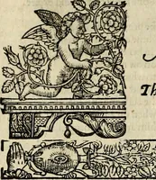 Picture 99 of 243 from The faerie qveen : The shepheards calendar : together with the other works of England's arch-poët (1611), leaf 235