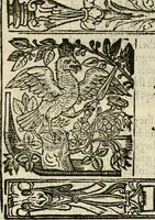 Picture 119 of 243 from The faerie qveen : The shepheards calendar : together with the other works of England's arch-poët (1611), leaf 287