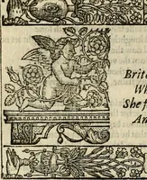 Picture 121 of 243 from The faerie qveen : The shepheards calendar : together with the other works of England's arch-poët (1611), leaf 291