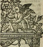 Picture 122 of 243 from The faerie qveen : The shepheards calendar : together with the other works of England's arch-poët (1611), leaf 291