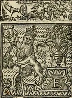 Picture 123 of 243 from The faerie qveen : The shepheards calendar : together with the other works of England's arch-poët (1611), leaf 295