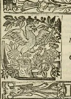An illustration from The faerie qveen : The shepheards calendar : together with the other works of England's arch-poët (1611)
