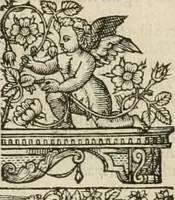 An illustration from The faerie qveen : The shepheards calendar : together with the other works of England's arch-poët (1611)