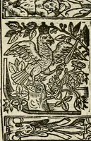 An illustration from The faerie qveen : The shepheards calendar : together with the other works of England's arch-poët (1611)