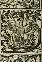 An illustration from The faerie qveen : The shepheards calendar : together with the other works of England's arch-poët (1611)