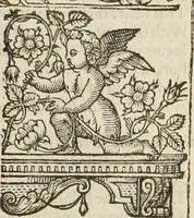 An illustration from The faerie qveen : The shepheards calendar : together with the other works of England's arch-poët (1611)
