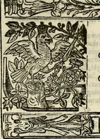 Picture 148 of 243 from The faerie qveen : The shepheards calendar : together with the other works of England's arch-poët (1611), leaf 353
