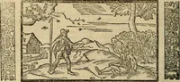 Picture 185 of 243 from The faerie qveen : The shepheards calendar : together with the other works of England's arch-poët (1611), leaf 435
