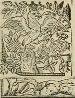 Picture 28 of 243 from The faerie qveen : The shepheards calendar : together with the other works of England's arch-poët (1611), leaf 46