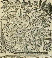 Picture 38 of 243 from The faerie qveen : The shepheards calendar : together with the other works of England's arch-poët (1611), leaf 71