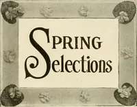 An illustration from Fairchild's rapid letterer and show-card maker, commercial alphabet construction with brush or pen (1910)