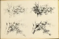 An illustration from Fairland's juvenile artist, or, Easy studies for beginners in drawing, of figures, animals, shipping, and landscape (1838)