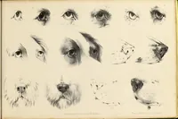 An illustration from Fairland's juvenile artist, or, Easy studies for beginners in drawing, of figures, animals, shipping, and landscape (1838)