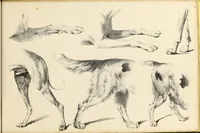 An illustration from Fairland's juvenile artist, or, Easy studies for beginners in drawing, of figures, animals, shipping, and landscape (1838)