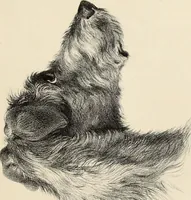 An illustration from Fairland's juvenile artist, or, Easy studies for beginners in drawing, of figures, animals, shipping, and landscape (1838)