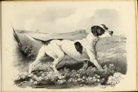 An illustration from Fairland's juvenile artist, or, Easy studies for beginners in drawing, of figures, animals, shipping, and landscape (1838)