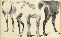 An illustration from Fairland's juvenile artist, or, Easy studies for beginners in drawing, of figures, animals, shipping, and landscape (1838)