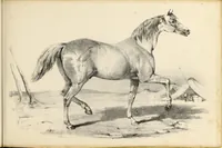 An illustration from Fairland's juvenile artist, or, Easy studies for beginners in drawing, of figures, animals, shipping, and landscape (1838)