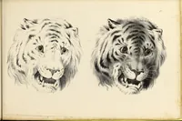 An illustration from Fairland's juvenile artist, or, Easy studies for beginners in drawing, of figures, animals, shipping, and landscape (1838)