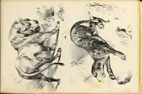 An illustration from Fairland's juvenile artist, or, Easy studies for beginners in drawing, of figures, animals, shipping, and landscape (1838)