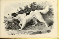 An illustration from Fairland's juvenile artist, or, Easy studies for beginners in drawing, of figures, animals, shipping, and landscape (1838)