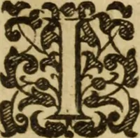 An illustration from A treatise of faith : wherein methodically is handled, the nature of true, saving, justifying faith, in opposition unto counterfeit .. (1654)