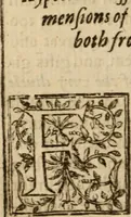 An illustration from A treatise of faith : wherein methodically is handled, the nature of true, saving, justifying faith, in opposition unto counterfeit .. (1654)