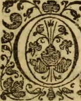 An illustration from A treatise of faith : wherein methodically is handled, the nature of true, saving, justifying faith, in opposition unto counterfeit .. (1654)