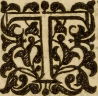 An illustration from A treatise of faith : wherein methodically is handled, the nature of true, saving, justifying faith, in opposition unto counterfeit .. (1654)