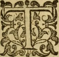 An illustration from A treatise of faith : wherein methodically is handled, the nature of true, saving, justifying faith, in opposition unto counterfeit .. (1654)