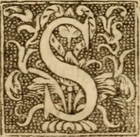 An illustration from A treatise of faith : wherein methodically is handled, the nature of true, saving, justifying faith, in opposition unto counterfeit .. (1654)