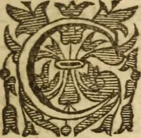 An illustration from A treatise of faith : wherein methodically is handled, the nature of true, saving, justifying faith, in opposition unto counterfeit .. (1654)