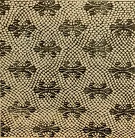 An illustration from Fall and Winter, 1890-91 Fashion Catalogue / H. O'Neill and Co. (1890)