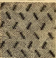 An illustration from Fall and Winter, 1890-91 Fashion Catalogue / H. O'Neill and Co. (1890)