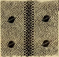 An illustration from Fall and Winter, 1890-91 Fashion Catalogue / H. O'Neill and Co. (1890)