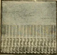 An illustration from Fall and Winter, 1890-91 Fashion Catalogue / H. O'Neill and Co. (1890)