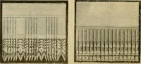 An illustration from Fall and Winter, 1890-91 Fashion Catalogue / H. O'Neill and Co. (1890)