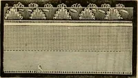An illustration from Fall and Winter, 1890-91 Fashion Catalogue / H. O'Neill and Co. (1890)
