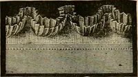 An illustration from Fall and Winter, 1890-91 Fashion Catalogue / H. O'Neill and Co. (1890)