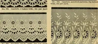 An illustration from Fall and Winter, 1890-91 Fashion Catalogue / H. O'Neill and Co. (1890)
