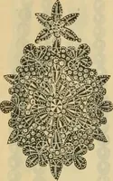 An illustration from Fall and Winter, 1890-91 Fashion Catalogue / H. O'Neill and Co. (1890)