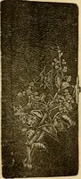 An illustration from Fall and Winter, 1890-91 Fashion Catalogue / H. O'Neill and Co. (1890)