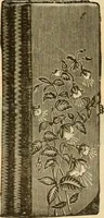 An illustration from Fall and Winter, 1890-91 Fashion Catalogue / H. O'Neill and Co. (1890)