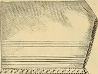 An illustration from Fall and Winter, 1890-91 Fashion Catalogue / H. O'Neill and Co. (1890)