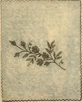 An illustration from Fall and Winter, 1890-91 Fashion Catalogue / H. O'Neill and Co. (1890)