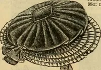 An illustration from Fall and Winter, 1890-91 Fashion Catalogue / H. O'Neill and Co. (1890)