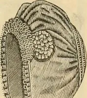 An illustration from Fall and Winter, 1890-91 Fashion Catalogue / H. O'Neill and Co. (1890)