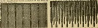 An illustration from Fall and Winter, 1890-91 Fashion Catalogue / H. O'Neill and Co. (1890)