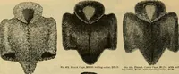 An illustration from Fall and Winter, 1890-91 Fashion Catalogue / H. O'Neill and Co. (1890)